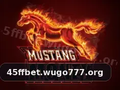 45ff bet app tela 2